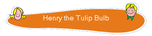 Henry the Tulip Bulb